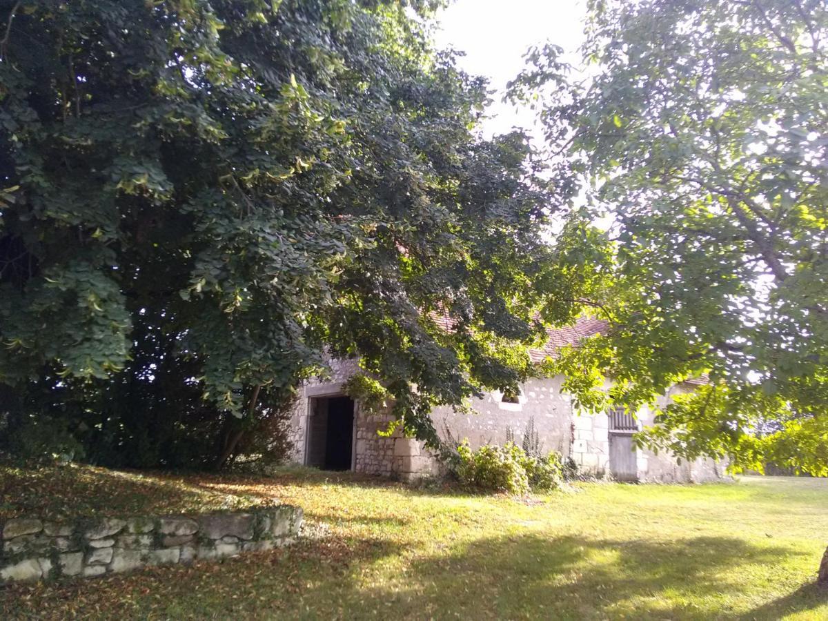 Luçay-le-Mâle La Berrycurienne Proche Du Zoo De Beauval Saint-Aignan Avec Sdb, Wc Et Spa Privatif Pour Chaque Chambre المظهر الخارجي الصورة