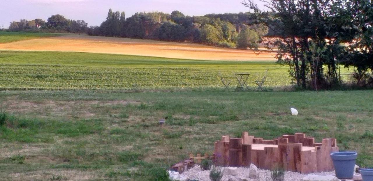 Luçay-le-Mâle La Berrycurienne Proche Du Zoo De Beauval Saint-Aignan Avec Sdb, Wc Et Spa Privatif Pour Chaque Chambre المظهر الخارجي الصورة